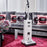 Buy Sebo X7 ePower White 91501GB Vacuum Cleaner Mansfield Nottingham Derby Chesterfield